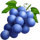 triple action joker grapes symbol icon
