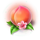triple fu lu shou flower symbol icon