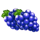 triple wild crown grapes symbol icon