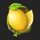 tropical hot lemon symbol icon