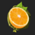 tropical hot orange symbol icon