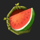 tropical hot watermelon symbol icon