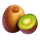 tropical thunder kiwi symbol icon