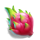 tropical tiki dragon fruit symbol icon