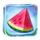tropicool 2 watermelon symbol icon