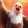 trump it deluxe epicways eagle symbol icon