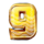 ttg dolphin gold nine symbol icon