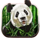 ttg more monkeys panda symbol icon