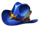 ttg wild west blue hat symbol icon