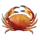 turtle paradise crab symbol icon