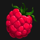 twin fruits of olympus rasberry symbol icon