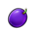 twister fortunes hold and win plum symbol icon