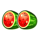 ultra luck watermelon symbol icon