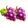 ultra reels fruteria grape symbol icon