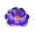 unbridled fortune purple flower symbol icon