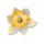 unbridled fortune white flower symbol icon