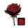 vampire touch dice rose symbol icon