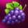 vbet golden tree grapes symbol icon