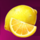 vbet golden tree lemon symbol icon