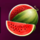 vbet golden tree watermelon symbol icon