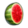 vegas diamonds melon symbol icon