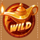 victoria wild wild2 symbol icon