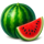 victory clover watermelon symbol icon
