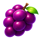 vip crown grape symbol icon