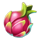 volcanic wilds dragon fruit symbol icon