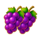 volcano golden coins grape symbol icon
