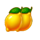 volcano golden coins lemon symbol icon