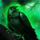 voodoo raven symbol icon