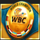 wbc ring of riches belt symbol icon