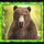 wgs forest frenzy bear symbol icon