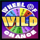 wheel of chance ii wild symbol icon