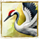 whispers of seasons bird symbol icon