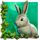 white wolf link deluxe rabbit symbol icon