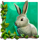 white wolf link rabbit symbol icon