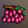 wild711player grape symbol icon