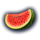 wild 4th fruits watermelon symbol icon