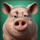 wild acres farm pig symbol icon