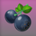 wild berry blackberry symbol icon