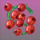 wild berry cherry symbol icon