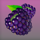 wild berry grapes symbol icon