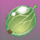 wild berry green litchi symbol icon