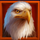wild buffalo fortune wheel bonus buy eagle symbol icon