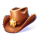 wild canyon hat symbol icon