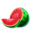 wild cascade melon symbol icon
