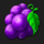 wild cash grape symbol icon