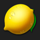 wild cash lemon symbol icon